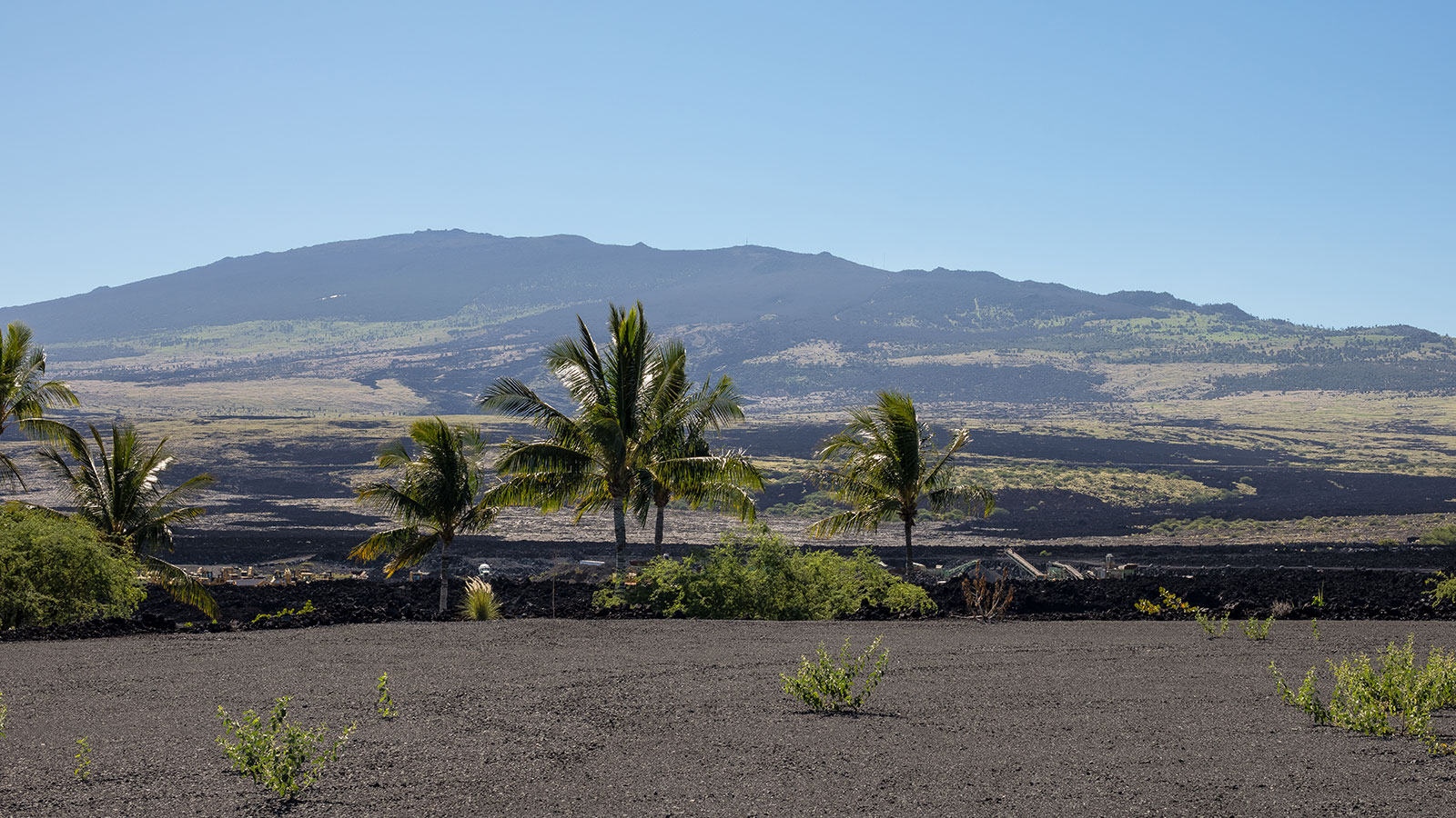 A dramatic landscape of black lava and lush green