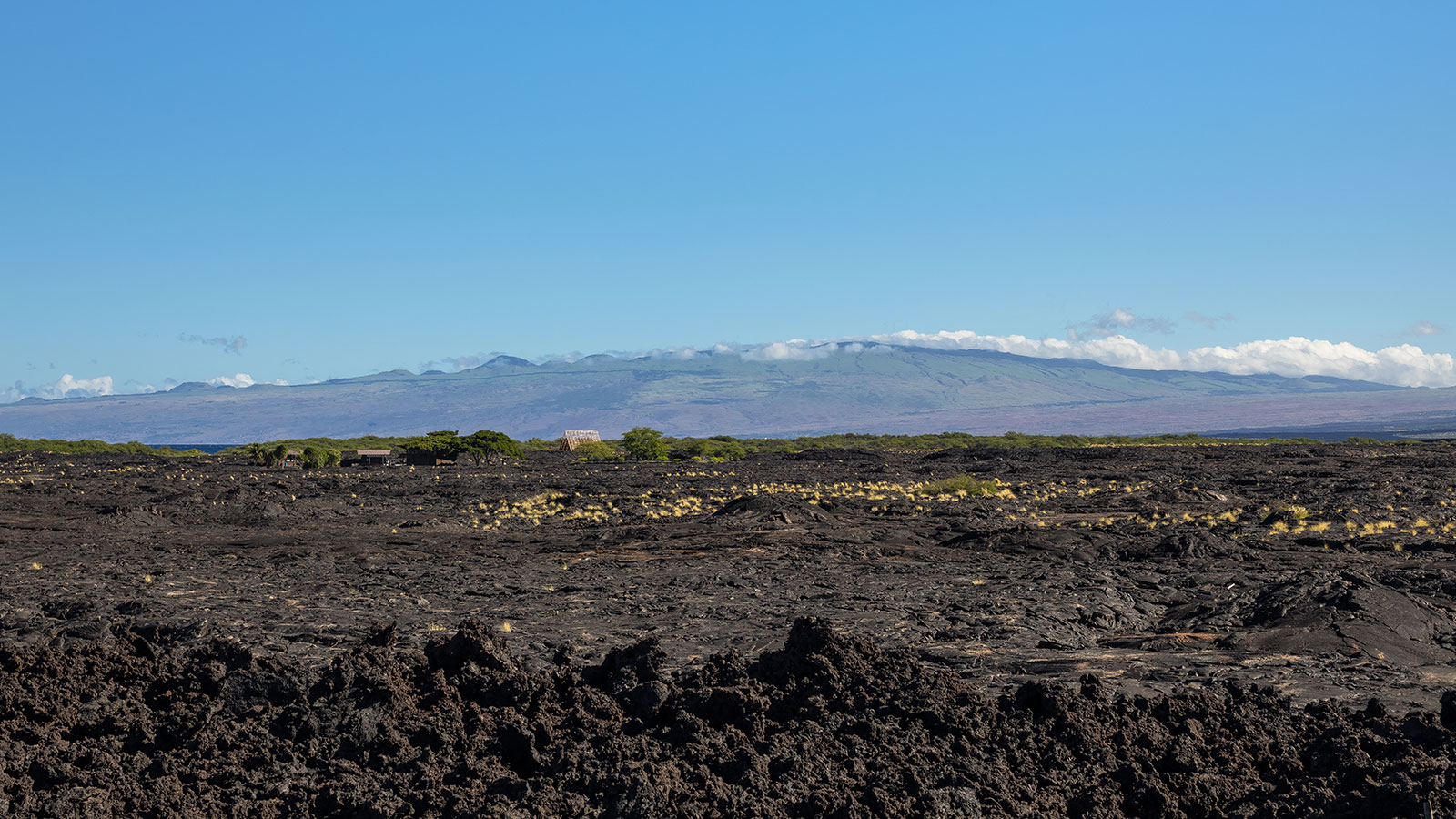 Volcanic flows at the edge of the ocean create a rugged shoreline