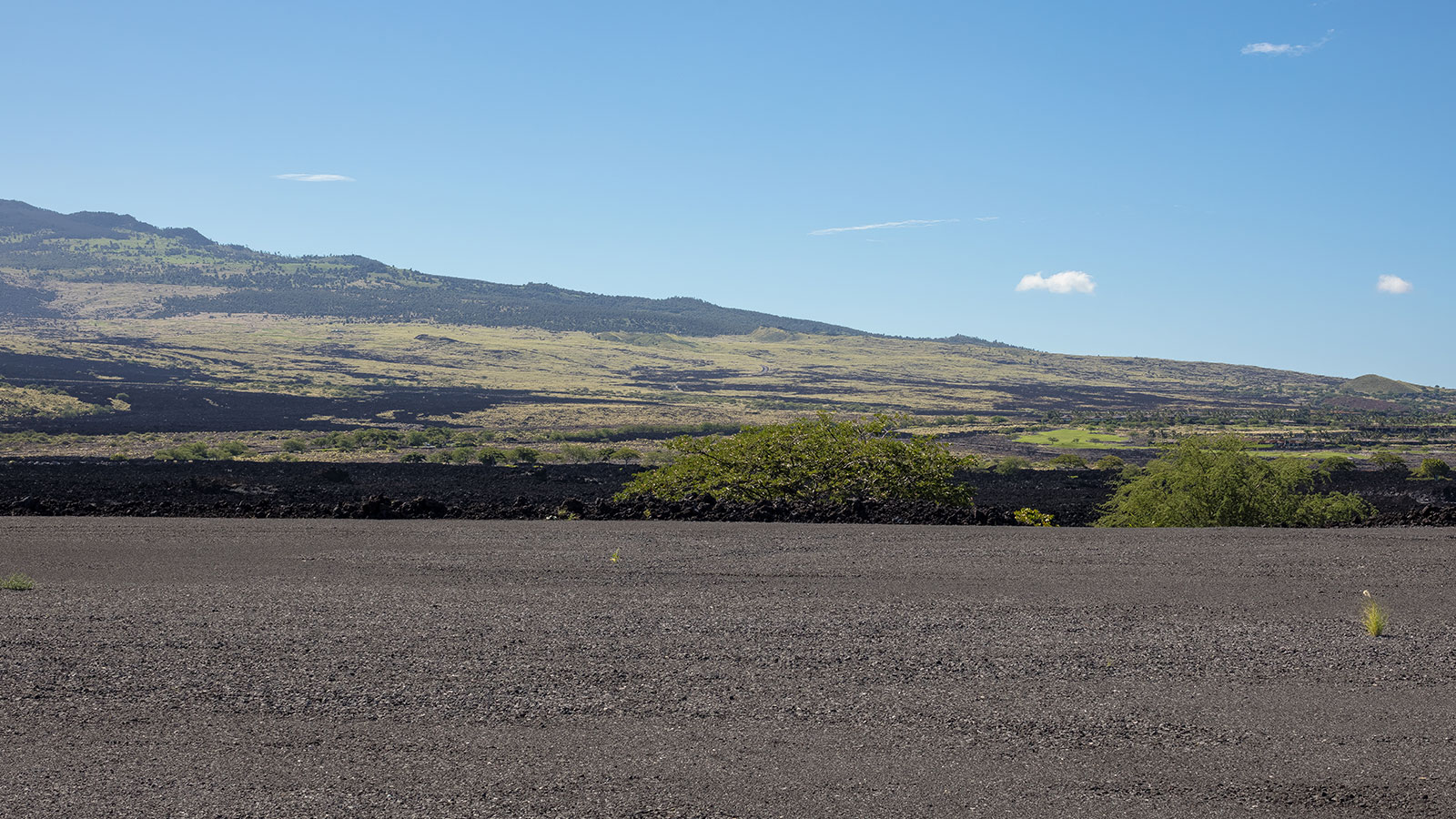 A dramatic landscape of black lava and lush green