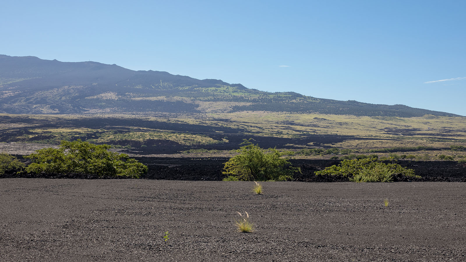 A dramatic landscape of black lava and lush green