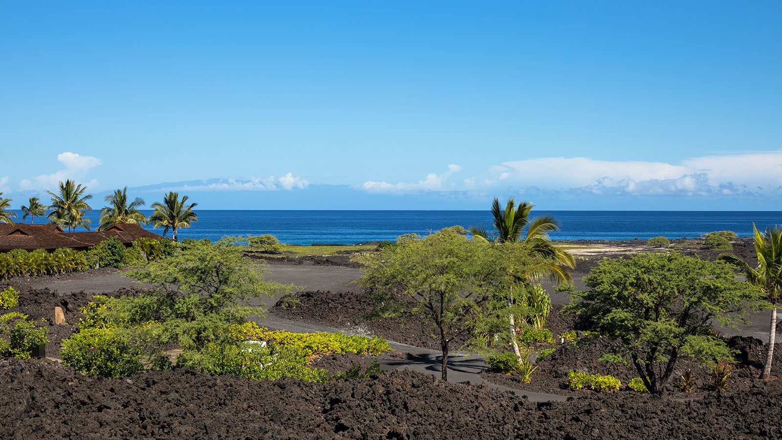 Volcanic flows at the edge of the ocean create a rugged shoreline