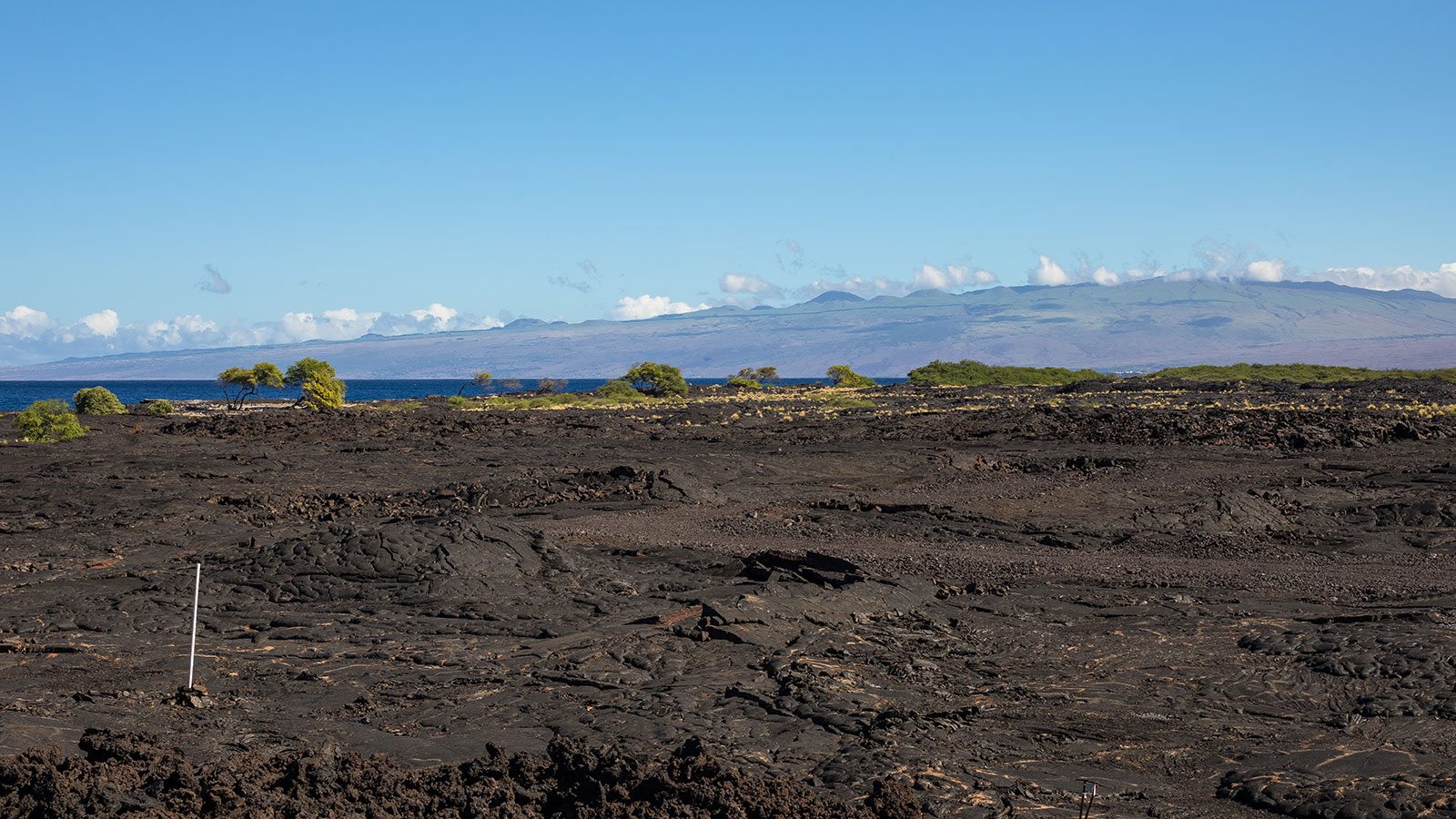 Volcanic flows at the edge of the ocean create a rugged shoreline