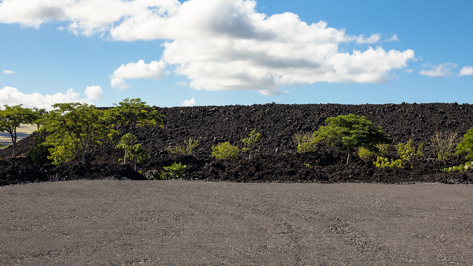 A dramatic landscape of black lava and lush green