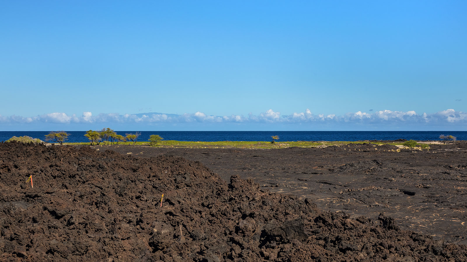 Lava fields on the rugged coastline of big island Hawaii