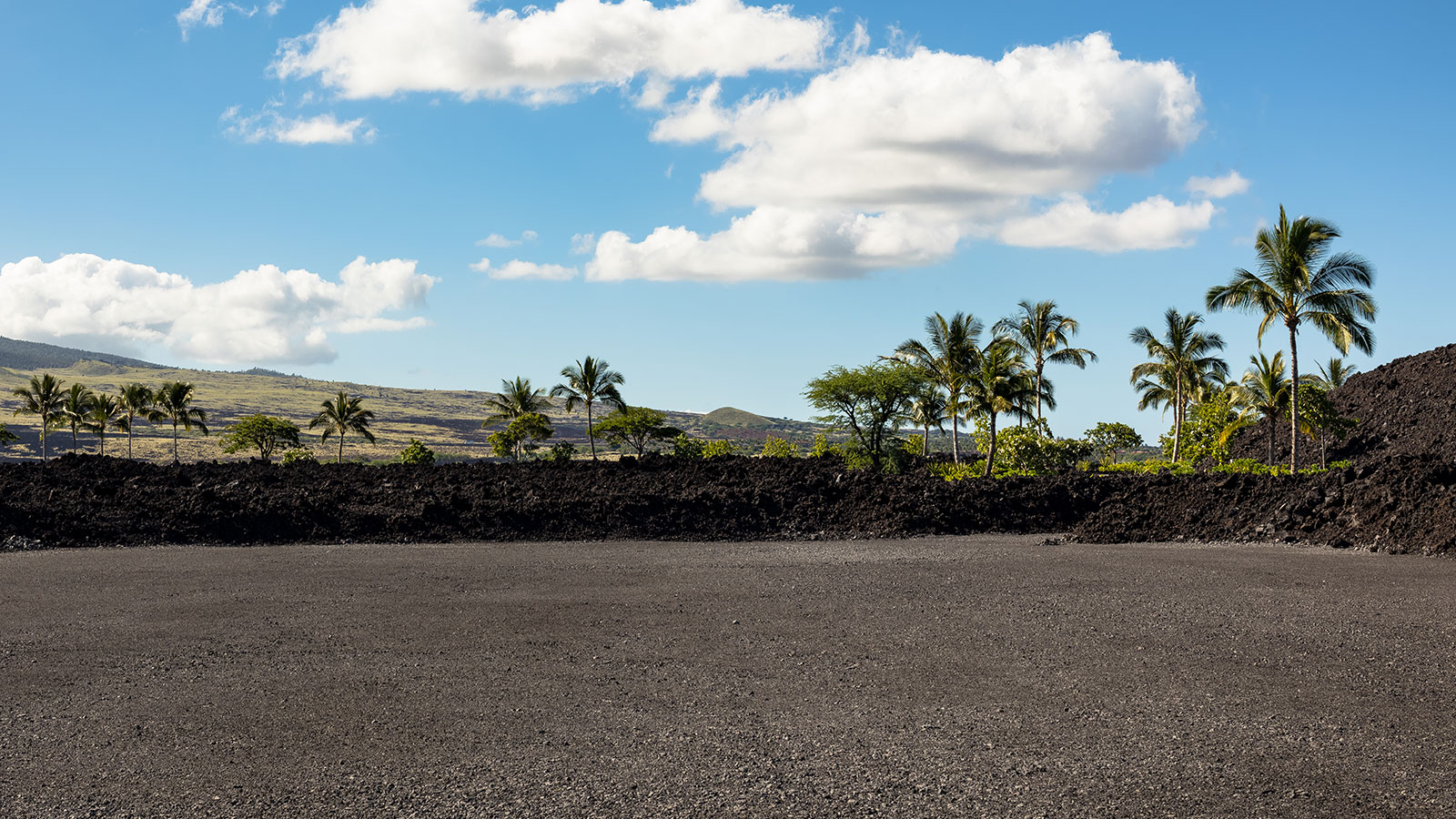 A dramatic landscape of black lava and lush green