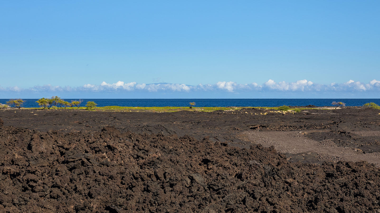 Volcanic flows at the edge of the ocean create a rugged shoreline