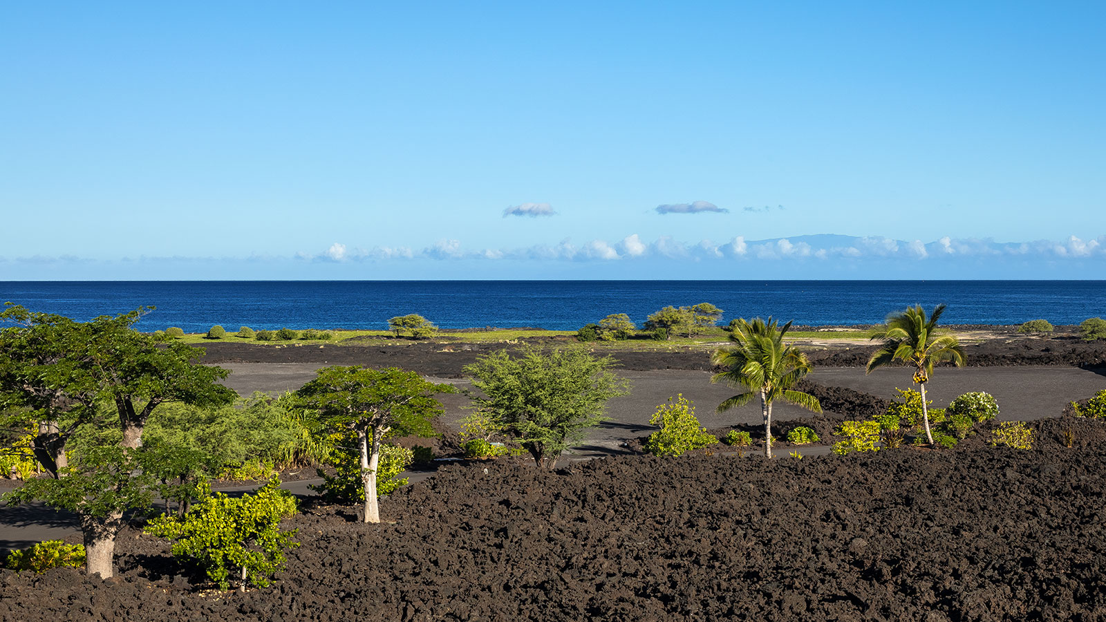 A dramatic landscape of black lava and lush green