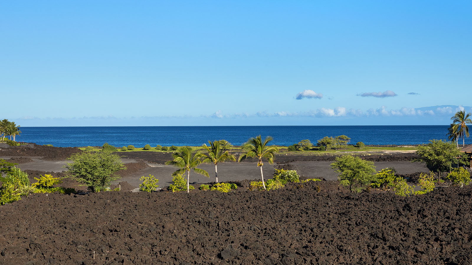 A dramatic landscape of black lava and lush green