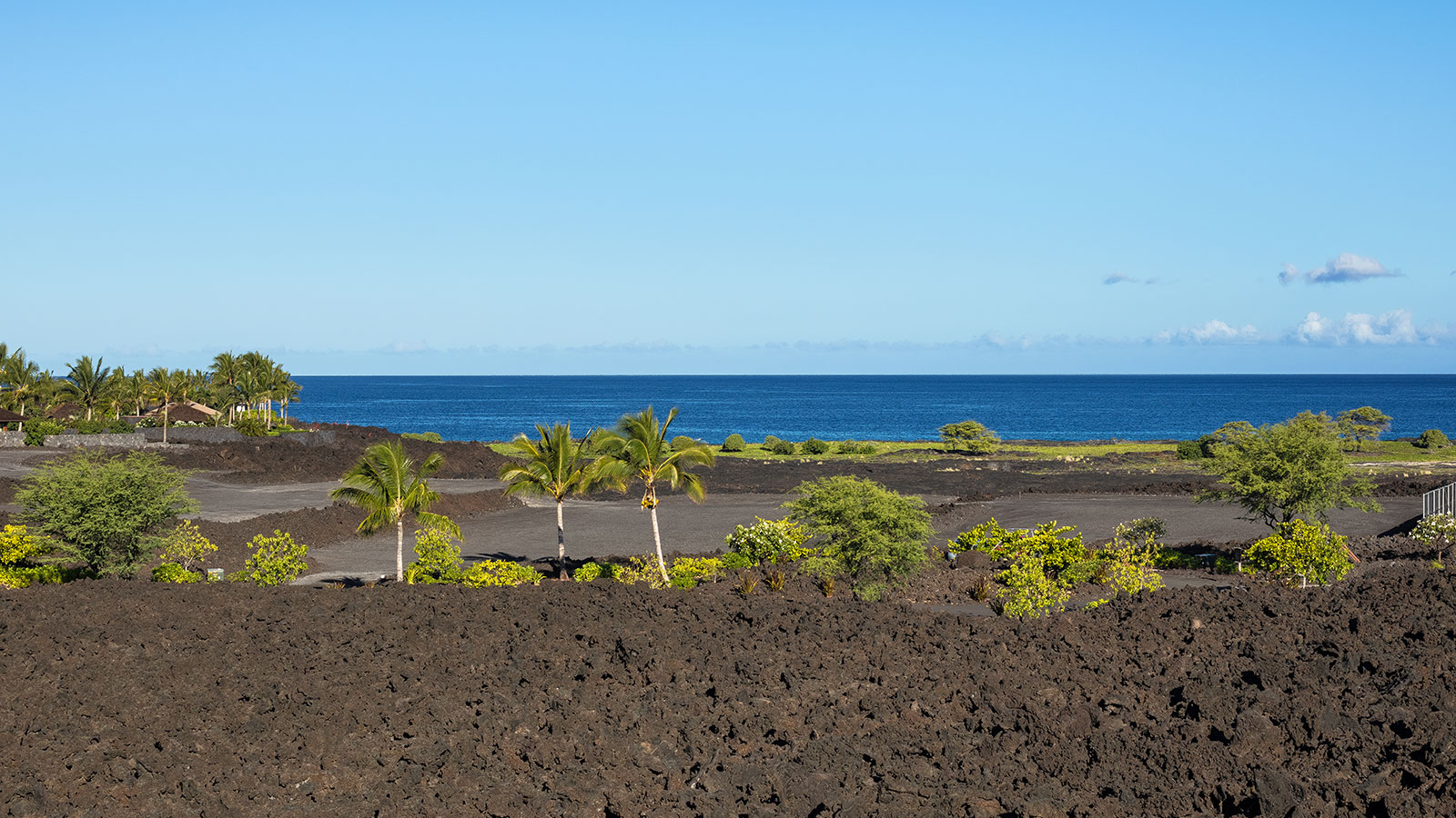 A dramatic landscape of black lava and lush green