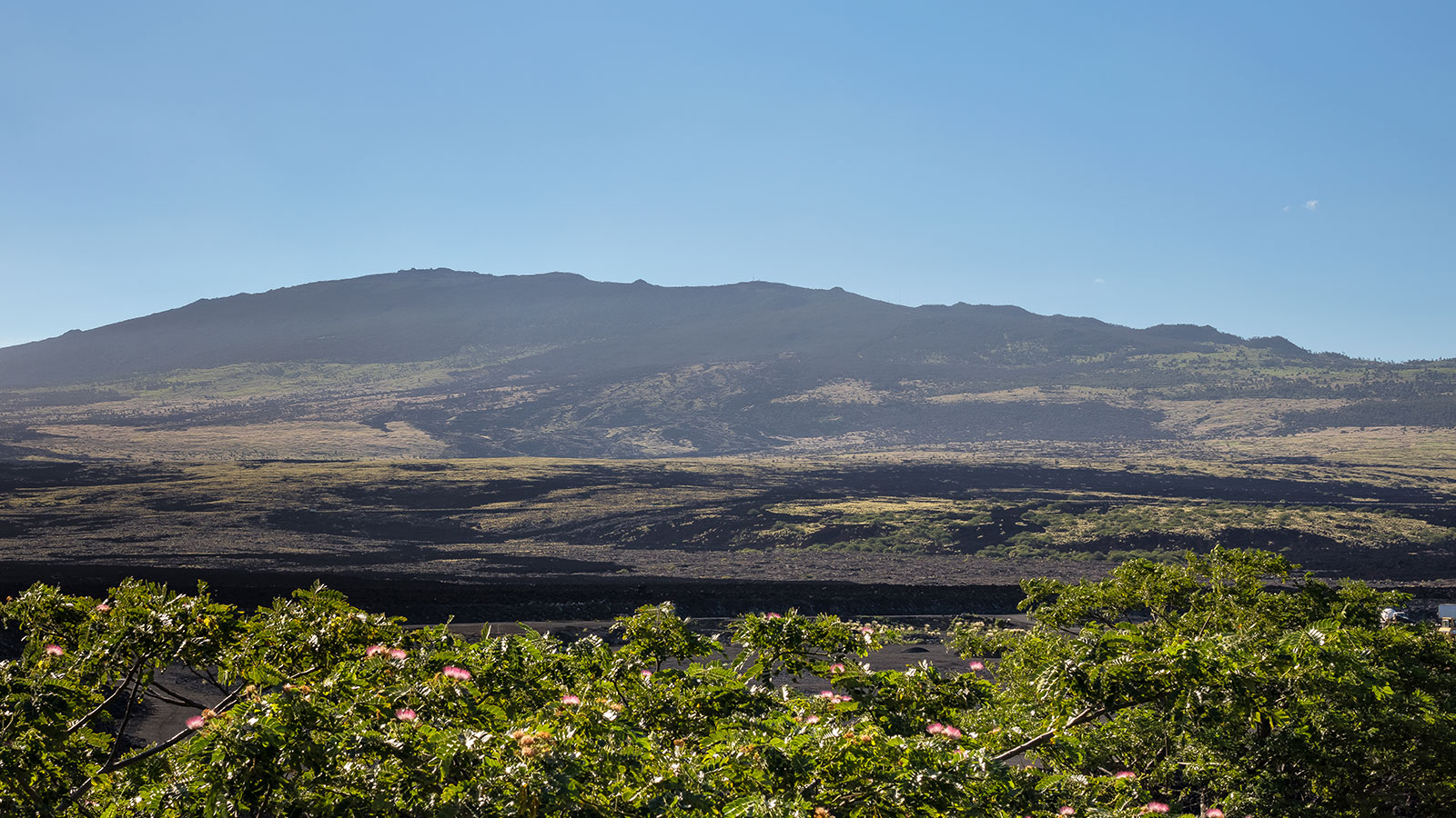 Dramatic geography features lava fields rolling out across big island Hawaii