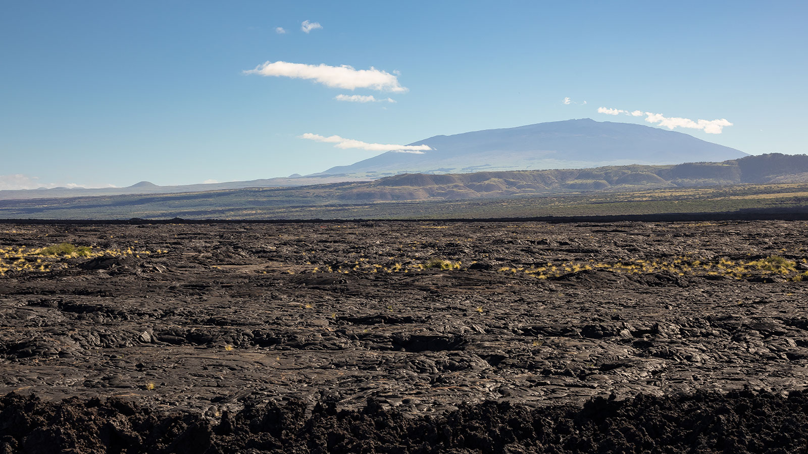 Dramatic geography features lava fields rolling out across big island Hawaii