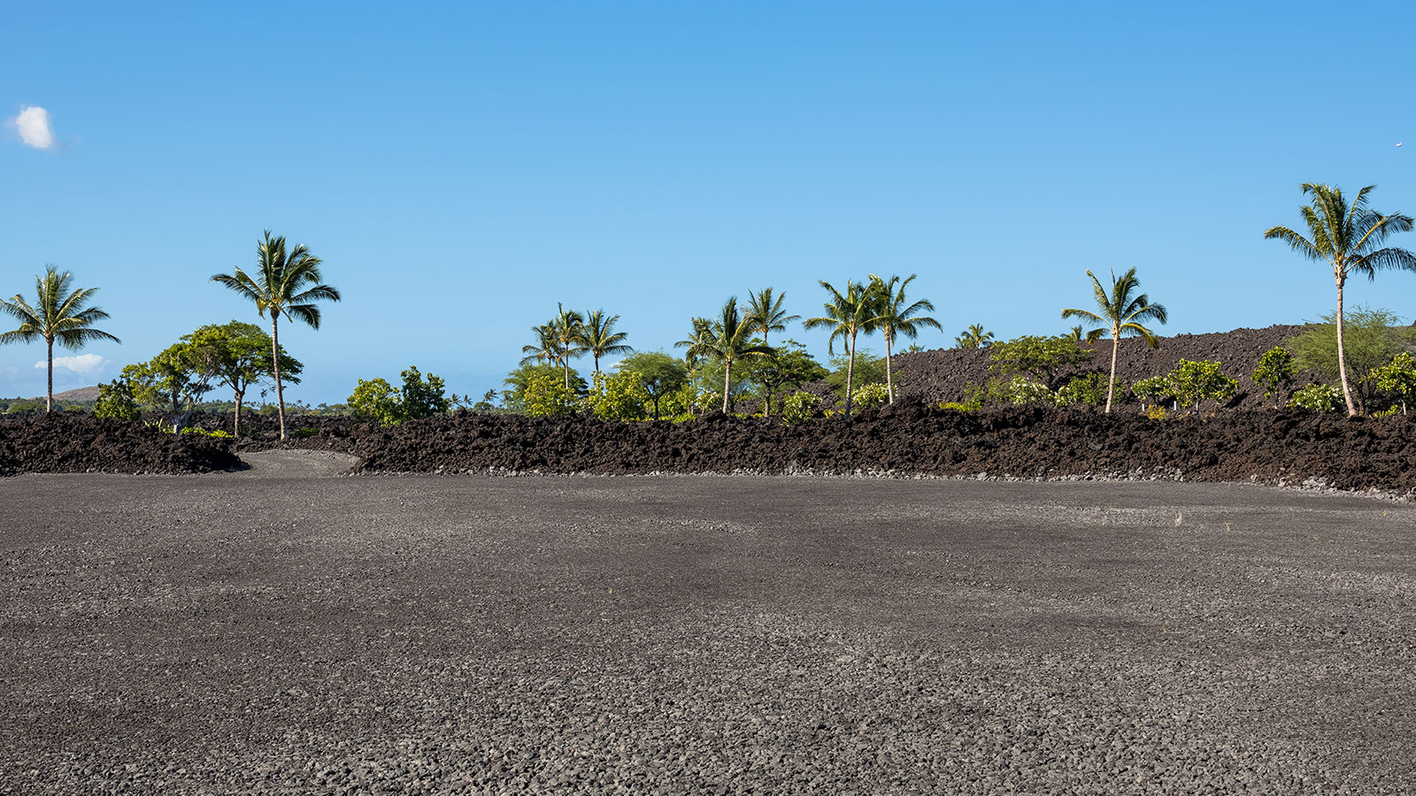 A dramatic landscape of black lava and lush green