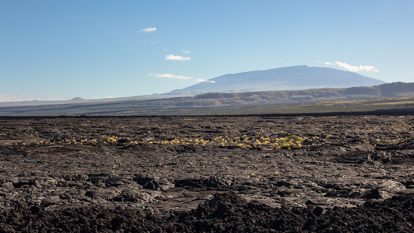 Volcanic flows at the edge of the ocean create a rugged shoreline