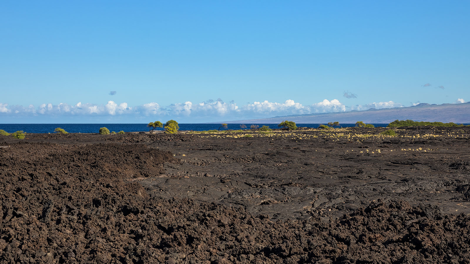 Riveting views of the ever-changing sea and sky