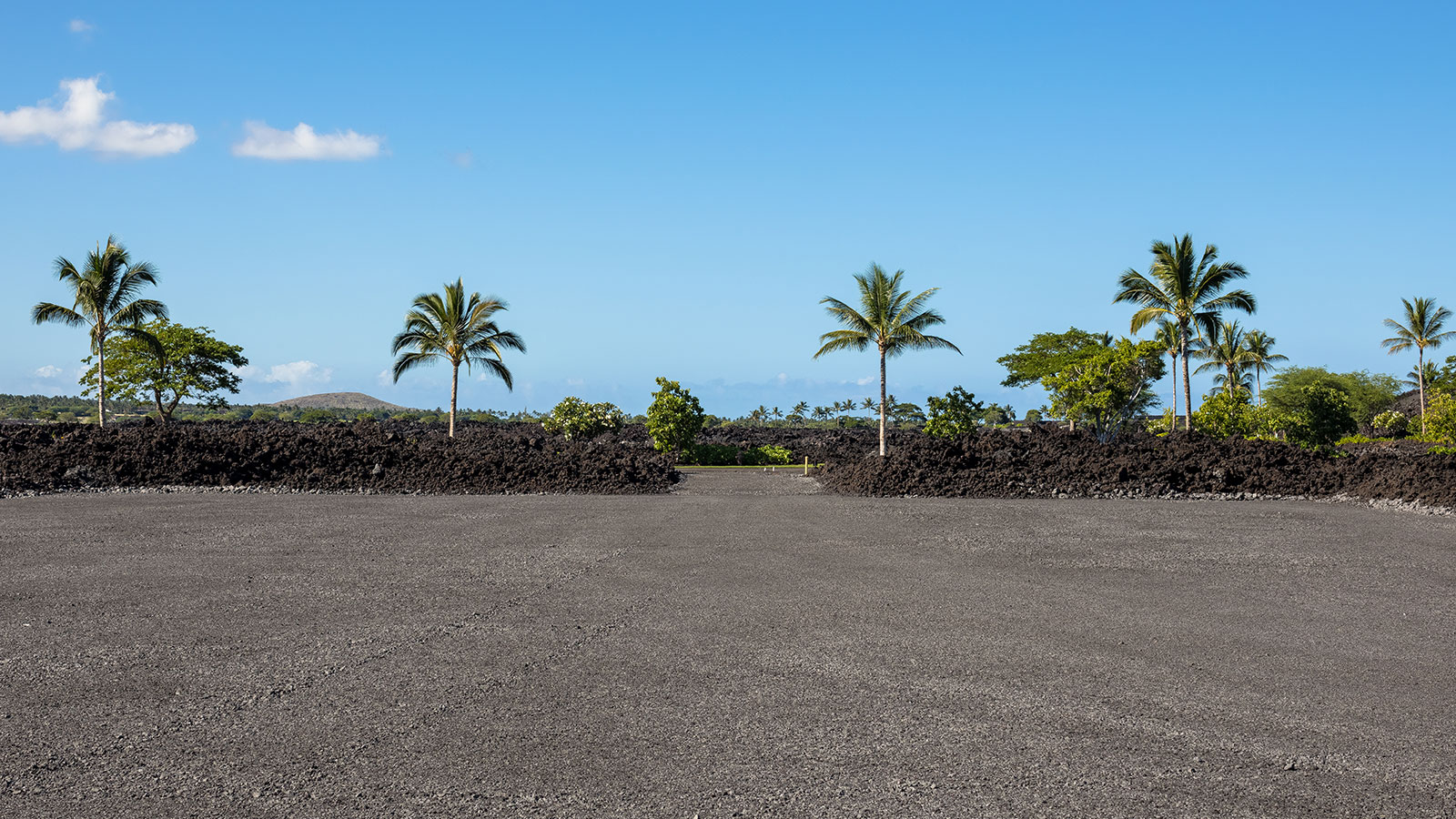 A dramatic landscape of black lava and lush green