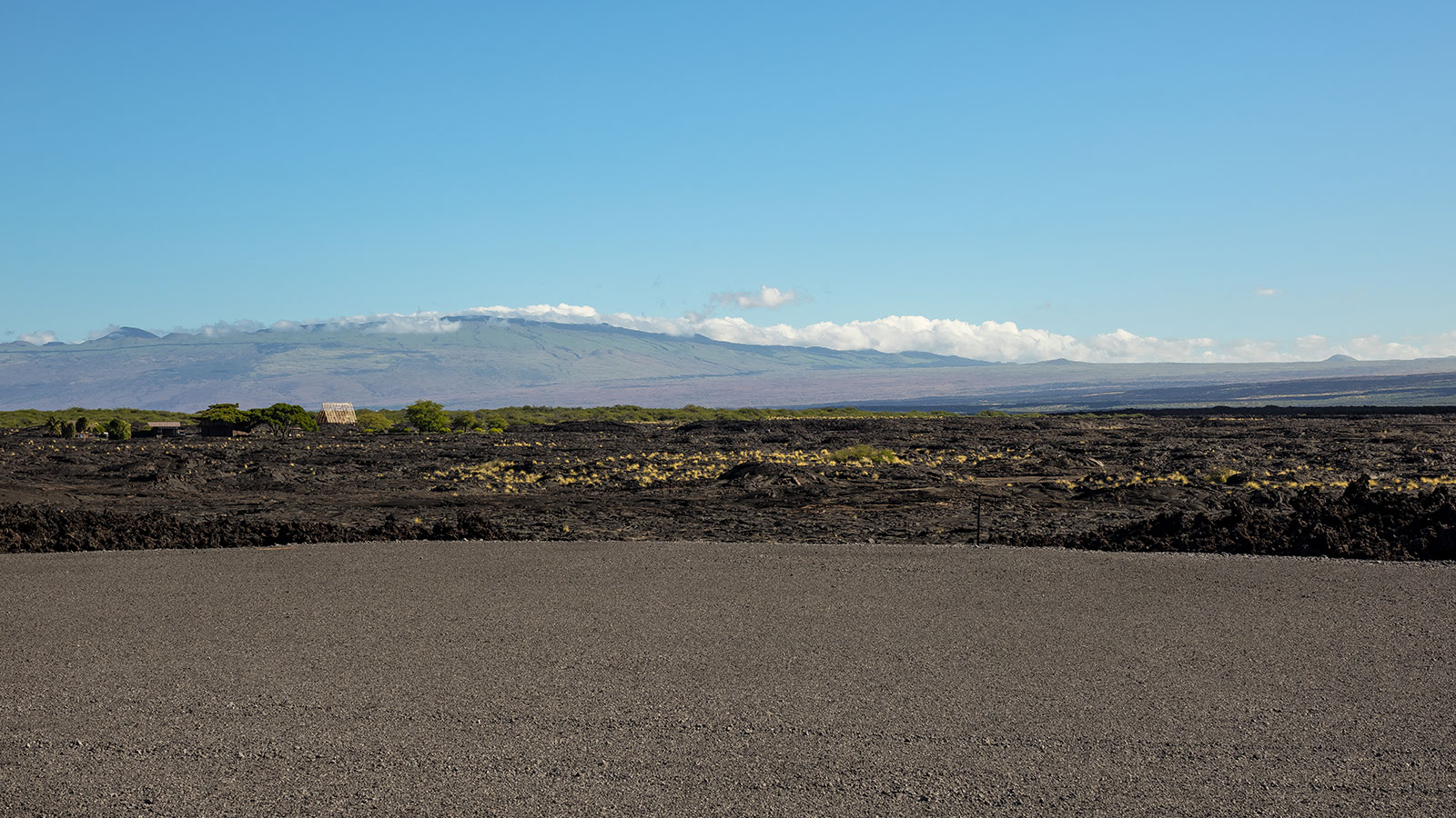 Lava fields on the rugged coastline of big island Hawaii