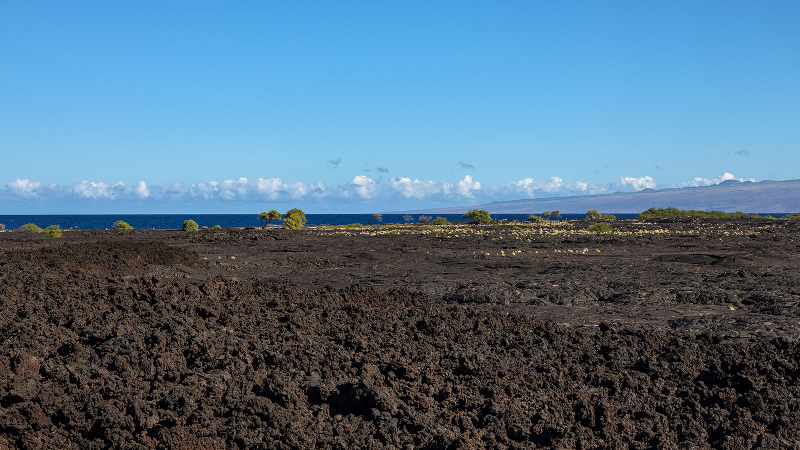 Volcanic flows at the edge of the ocean create a rugged shoreline