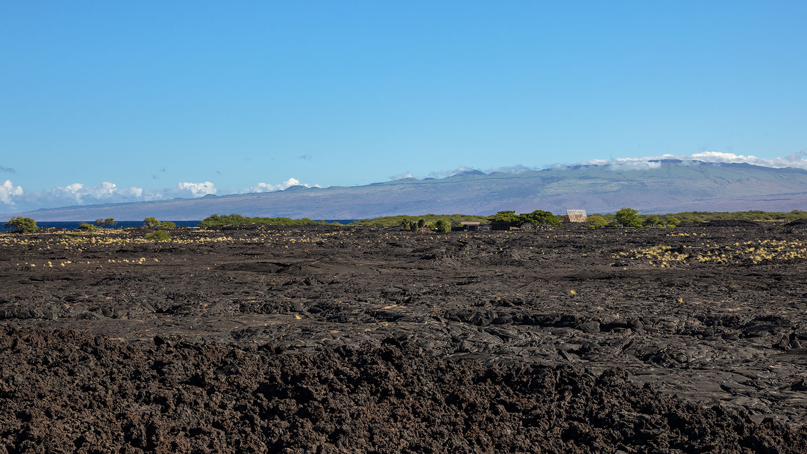 A dramatic landscape of black lava and lush green