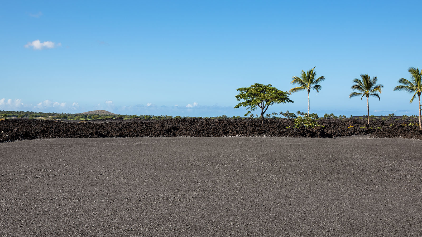 A dramatic landscape of black lava and lush green