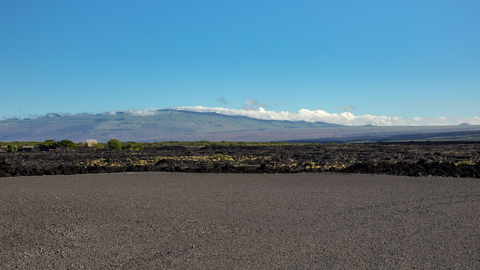 Lava fields on the rugged coastline of big island Hawaii