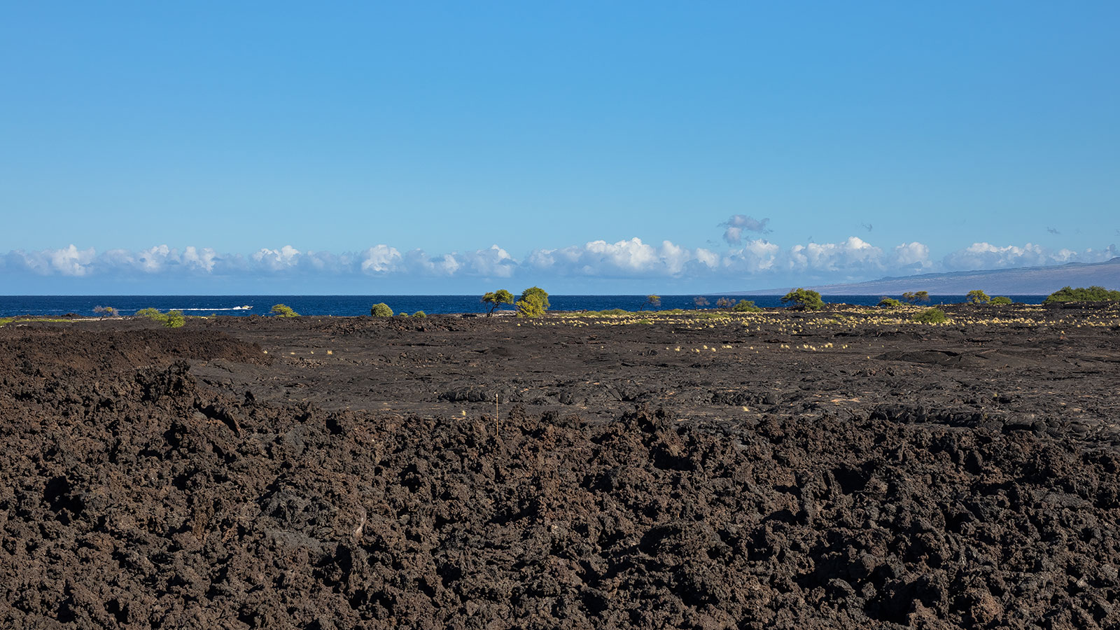 Riveting views of the ever-changing sea and sky