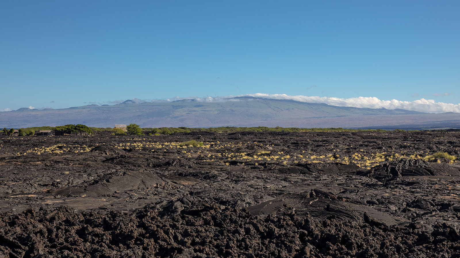 Volcanic flows at the edge of the ocean create a rugged shoreline