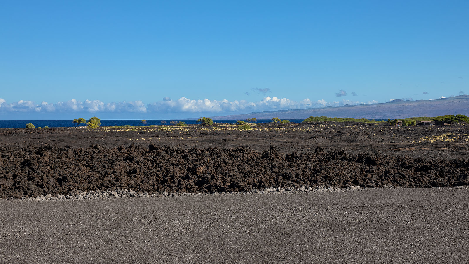 A dramatic landscape of black lava and lush green