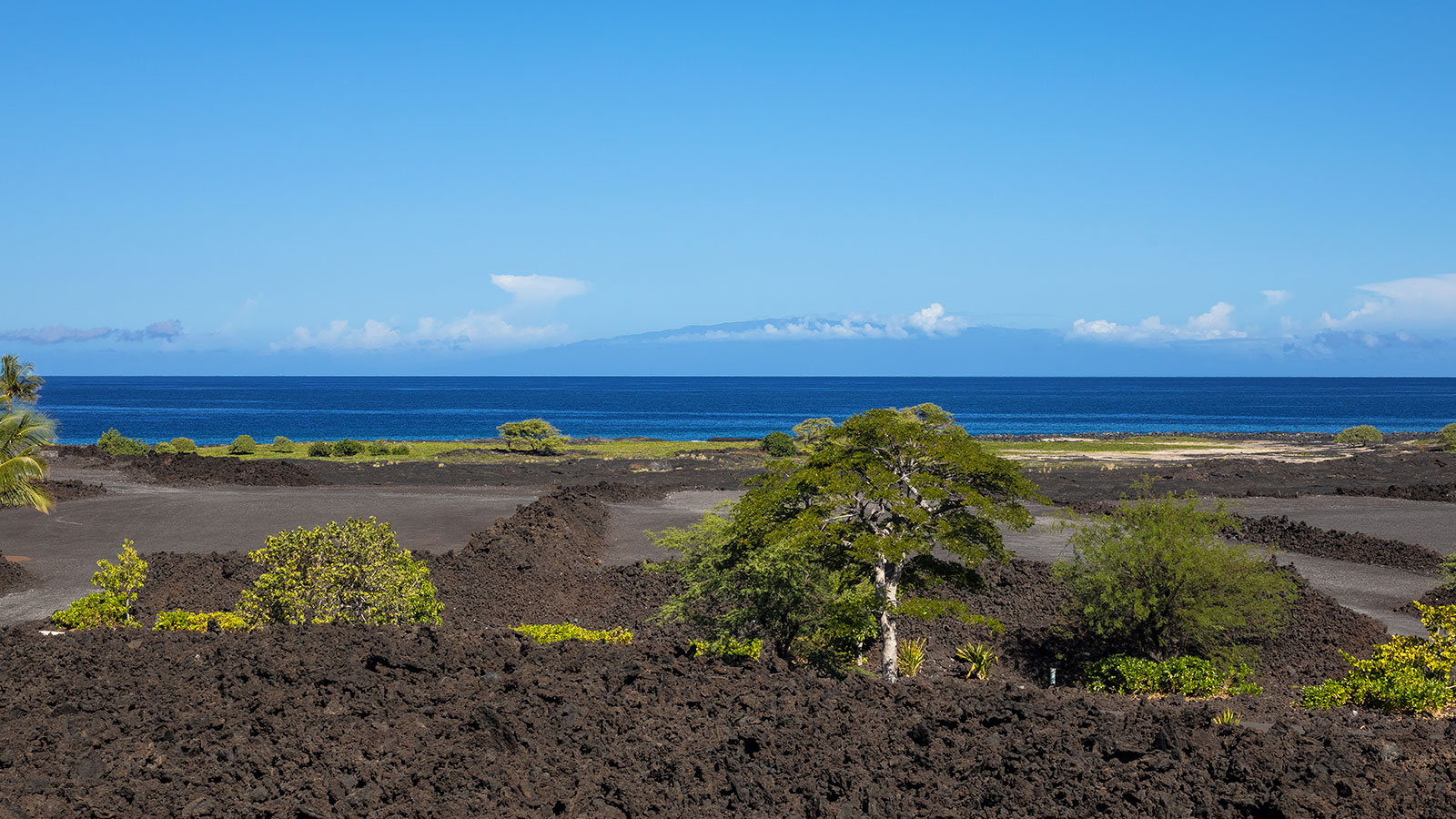 Volcanic flows at the edge of the ocean create a rugged shoreline