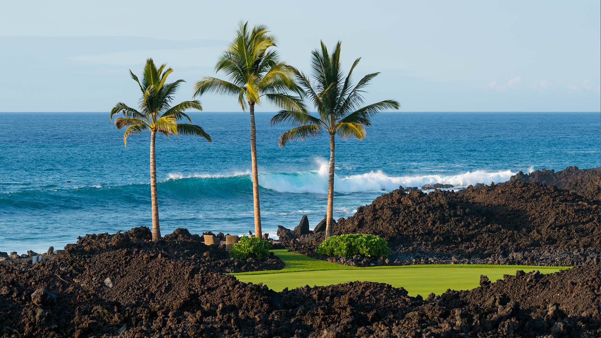 A dramatic landscape of black lava and lush green