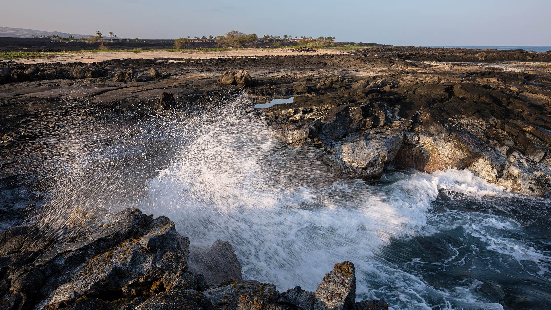 Seawater pools in pockets of the lava flow