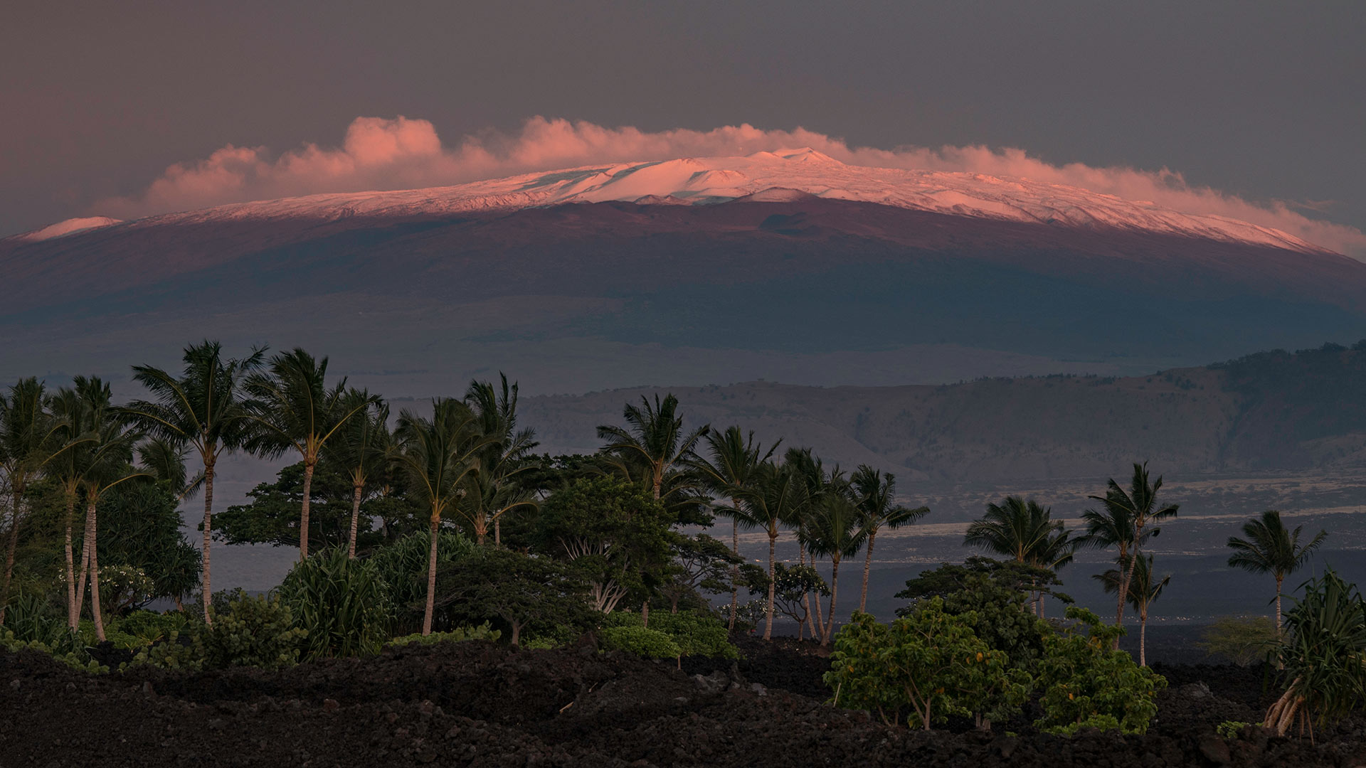 The sunset is reflected on snow-capped Mauna Kea