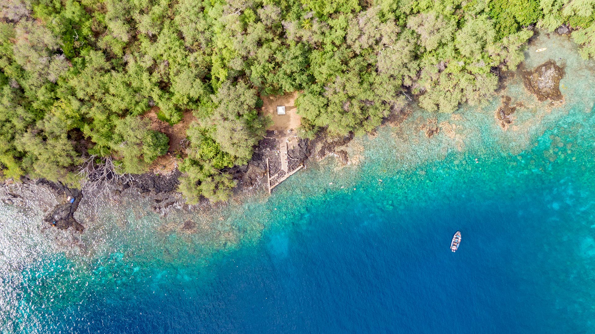 Snorkel in Kealakekua Bay, the site of the Captain Cook Monument