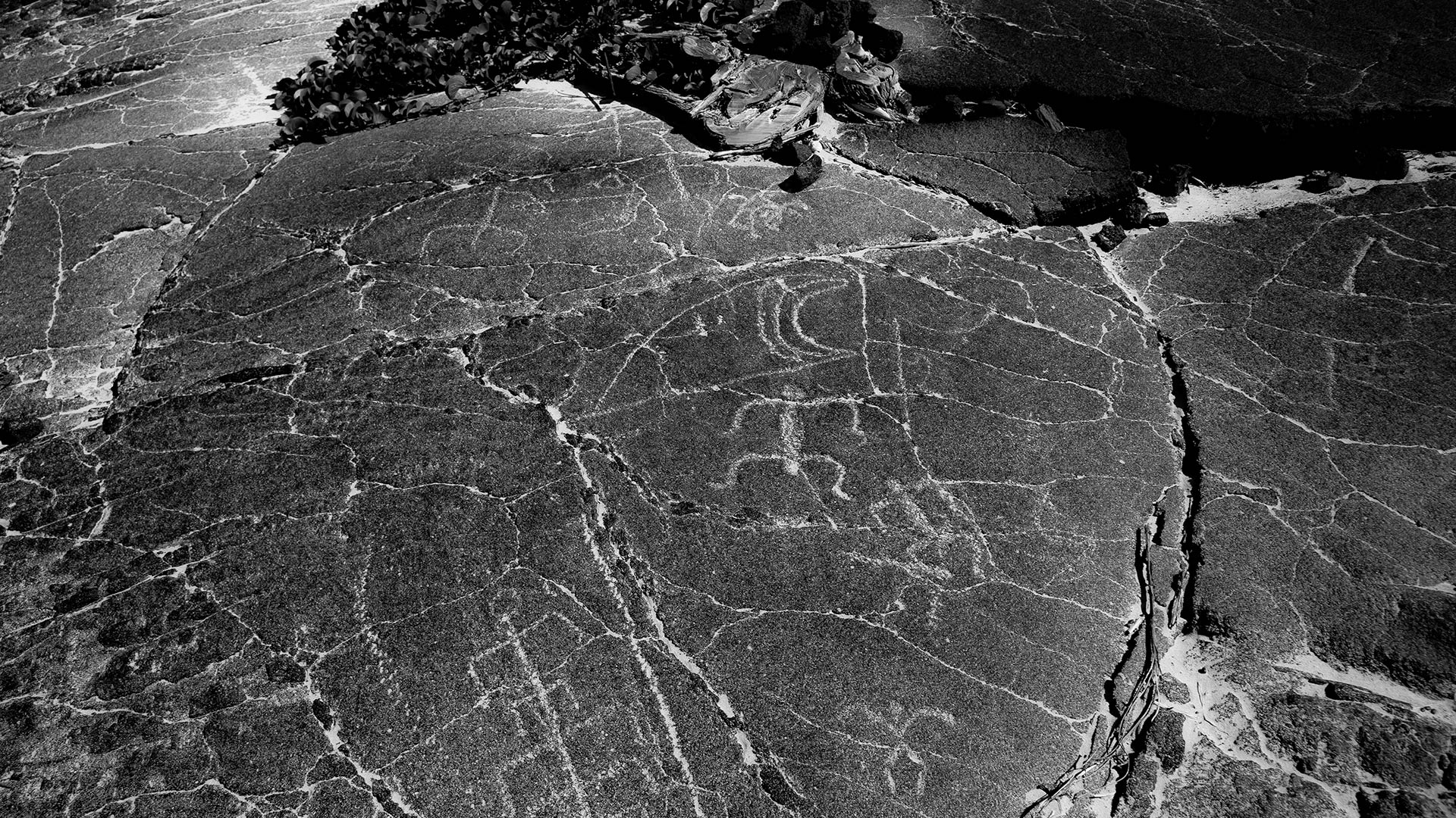 More than 3,000 ancient kii pohaku (petroglyphs) are preserved at nearby Puako