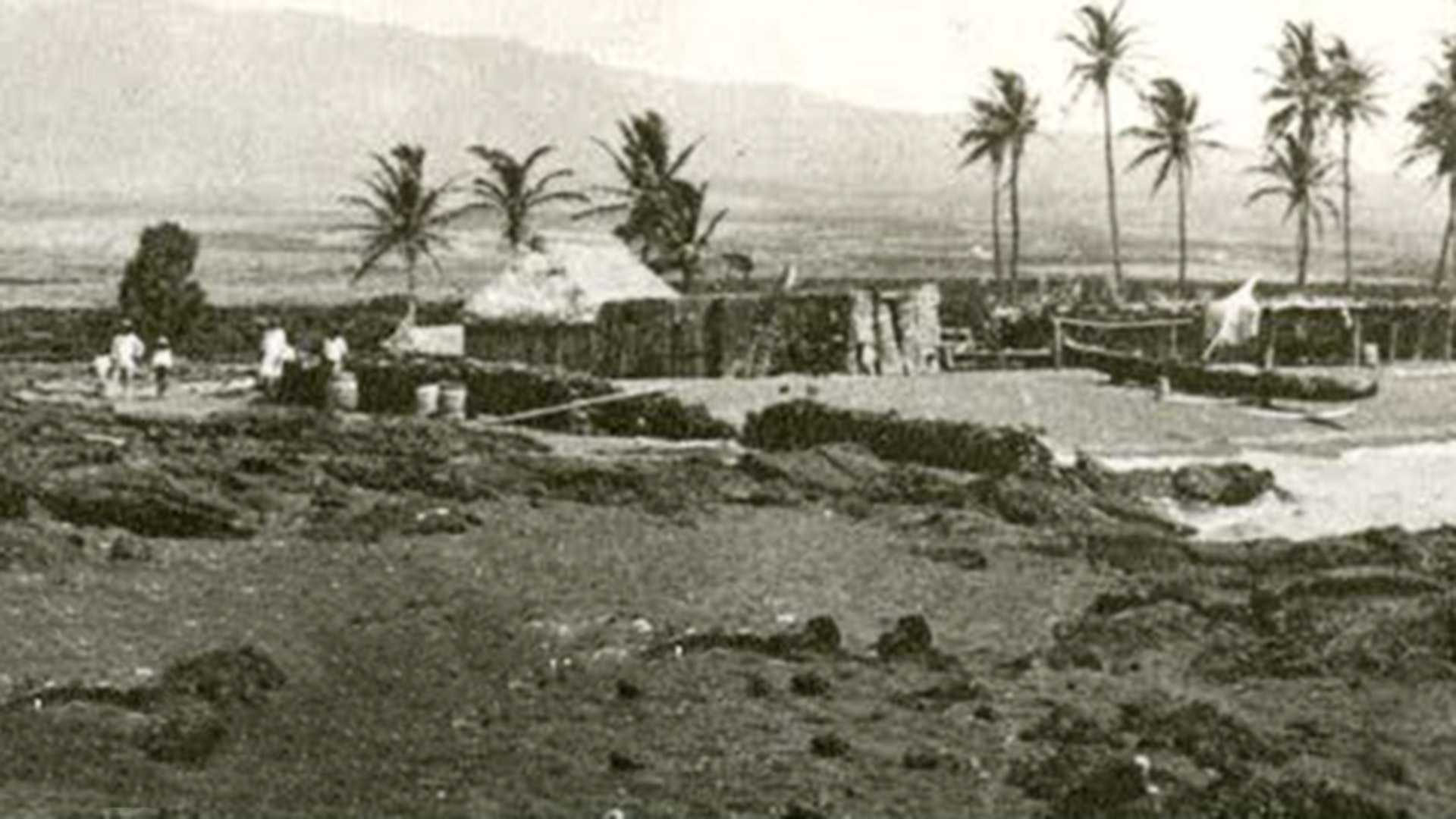 Kupuna (elders) tell of playing, working, and fishing in the waters seen here at Kaupulehu (courtesy of the Kona historical Society)