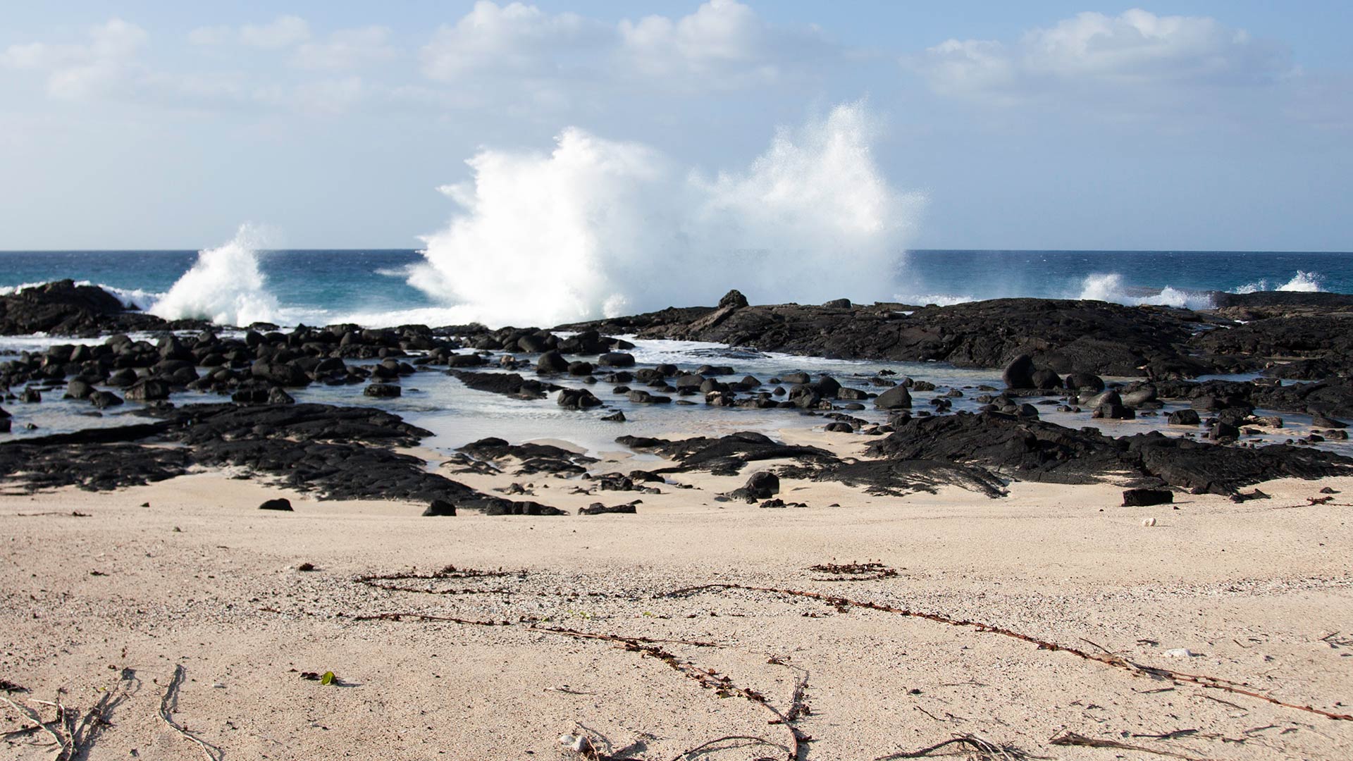 Mesmerizing views of waves breaking against the rugged shore