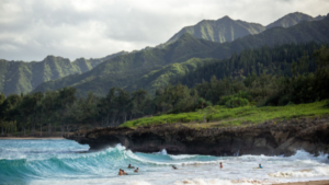 hawaii luxury real estate